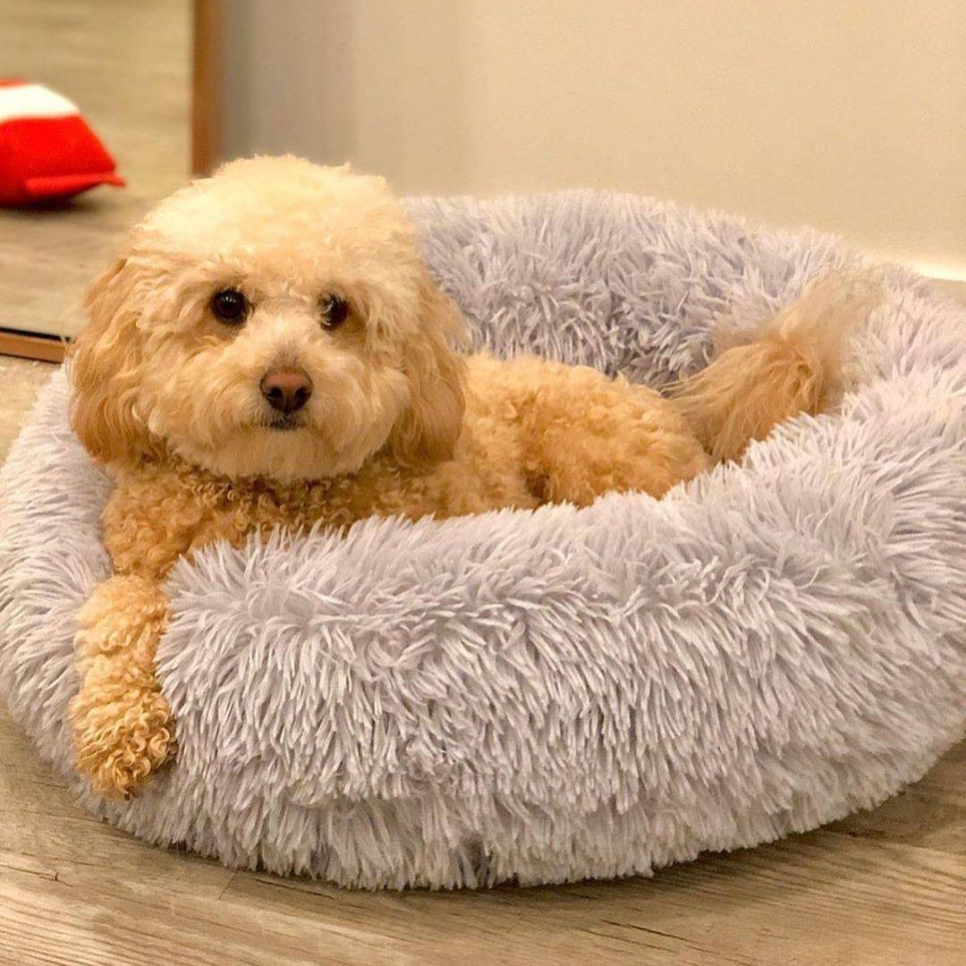 CozyNest™ Plush Dog & Cat Bed